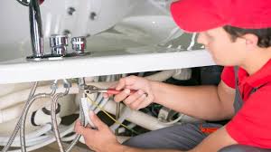 Best 24/7 Emergency Plumbing Services  in Norwood Young America, MN